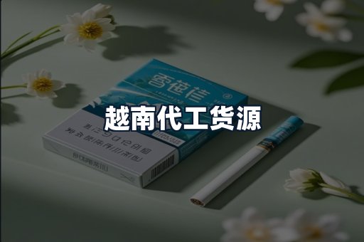 越南代工货源
